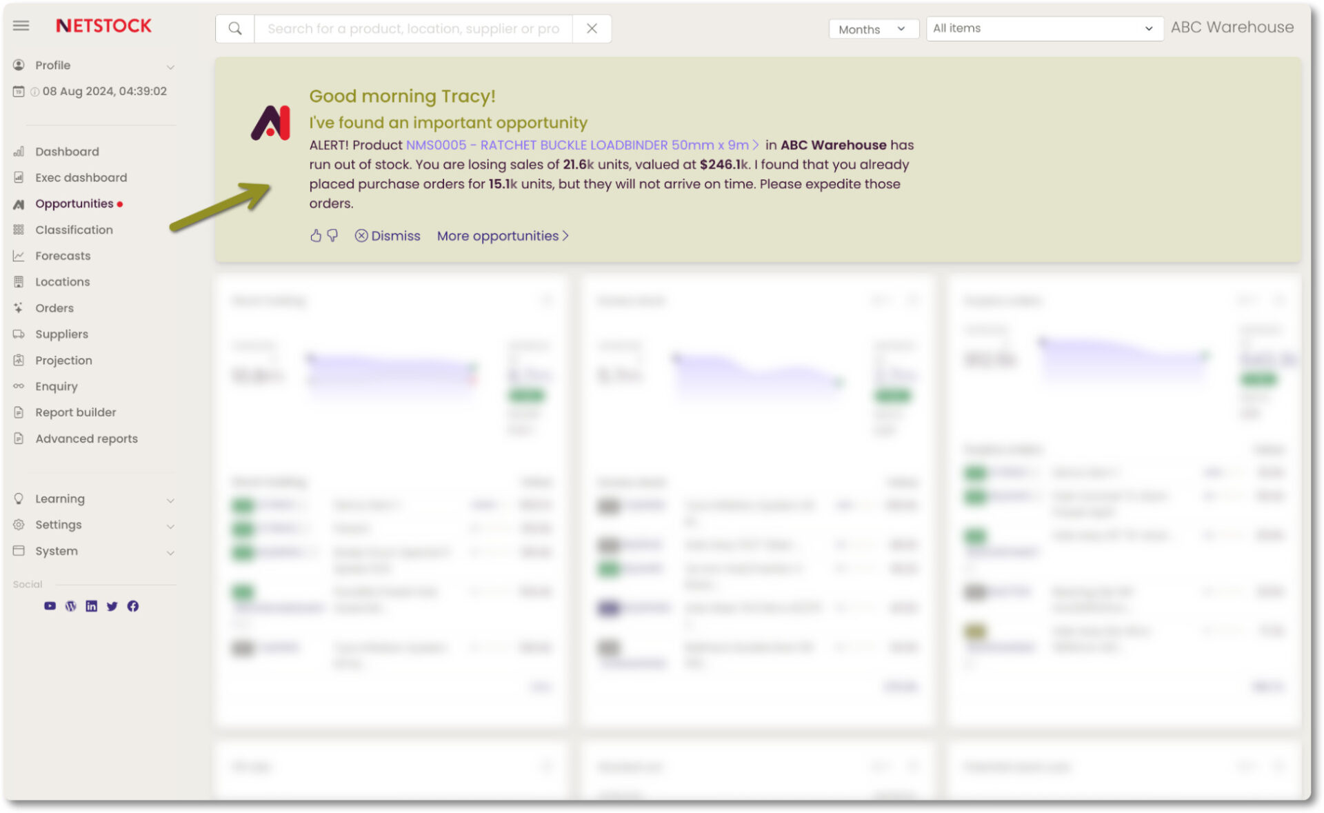 Netstock AI Opportunities screen showing an inventory issue with its suggested action, such as expediting an order or redistributing excess stock